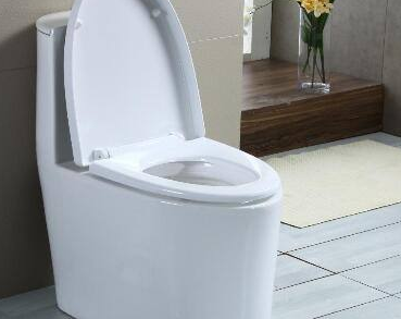 北京朝阳区清抽化粪池哪家好