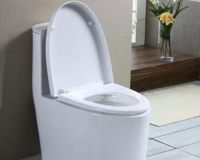 北京朝阳区马桶疏通价格